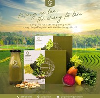 5 Bột rau củ G.Organic hỗ trợ cung cấp chất xơ