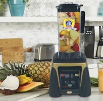 Máy xay sinh tố 2000W là gì  sự khác biệt so với máy thường