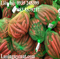 3 Lưới trái cây giá sỉ