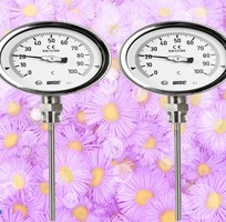  Wise T120   Đồng Hồ Nhiệt Độ Chính Hãng, Bền Bỉ Cho Mọi Hệ Thống Công Nghiệp   Dantek