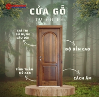 1 Cửa gỗ tự nhiên