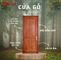 Cửa gỗ tự nhiên