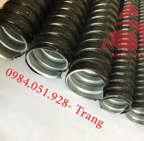 2 Ống ruột gà lõi thép D20