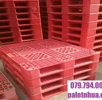 2 Mua pallet nhựa tại Tây Ninh phù hợp nhu cầu xuất khẩu