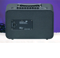 3 Loa di động mini Acnos CS160Pro khuyến mãi chân gỗ kê loa