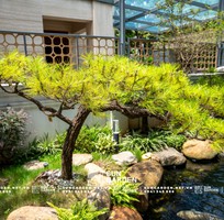 Tạo không gian sống xanh với vật liệu tự nhiên cho tiểu cảnh nhà ống