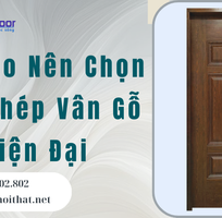 Tại Sao Nên Chọn Cửa Thép Vân Gỗ Hiện Đại