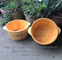 11 Bồn tắm gỗ tự nhiên cao cấp tại kiến xương, thái bình