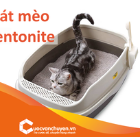 Hướng dẫn các thủ tục nhập khẩu Cát Mèo Bentonite