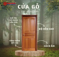 1 Cửa gỗ tự nhiên