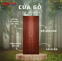 2 Cửa gỗ tự nhiên