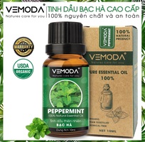 Công Dụng Đa Năng Của Tinh Dầu Bạc Hà: Hơn Cả Một Mùi Hương Sảng Khoái
