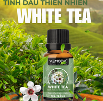1 Tinh Dầu Trà Trắng: Hương Thơm Dịu Nhẹ, Tinh Tế Cho Không Gian Thanh Khiết