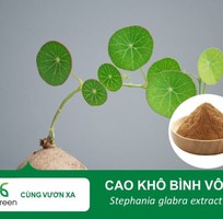 Cung cấp Cao khô Bình vôi hàng chất lượng cao giá tốt
