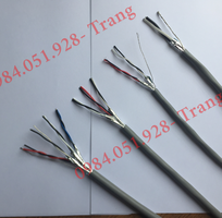 2 Cáp tín hiệu 1 Pair 22AWG lõi vặn xoắn 2 Cáp tín hiệu 1 Pair 22AWG lõi vặn xoắn