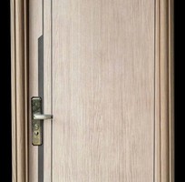 2 Cửa Thép Vân Gỗ