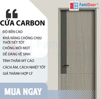 Cửa gỗ carbon melamine