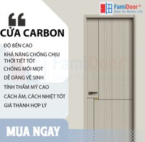 2 Cửa gỗ carbon melamine