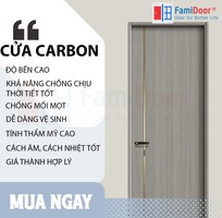 3 Cửa gỗ carbon melamine