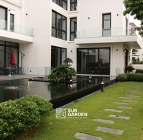 Ý tưởng mẫu sân vườn nhỏ đẹp với tiểu cảnh và lối đi tự nhiên
