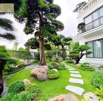 Thi công sân vườn đẹp hiện đại ở Đồng Nai, BRVT.., Tp.HCM