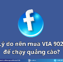 2 Mua VIA 902 giá tốt, bảng giá cập nhật mới nhất 2025