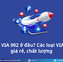 4 Mua VIA 902 giá tốt, bảng giá cập nhật mới nhất 2025
