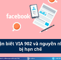 5 Mua VIA 902 giá tốt, bảng giá cập nhật mới nhất 2025