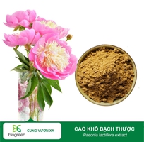 Cung cấp Cao khô Bạch thược hàng chất lương cao giá tốt