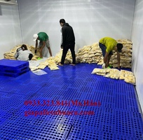 8 Sỉ lẻ Pallet Nhựa Giá Rẻ Tại Thuận An