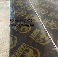 Tìm đại lý phân phối ván phim dài 4m Camel tại TPHCM, Bà Rịa - Vũng Tàu, Bình Dương