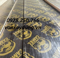 2 Tìm đại lý phân phối ván phim dài 4m Camel tại TPHCM, Bà Rịa - Vũng Tàu, Bình Dương