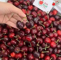 EUS Fruit - địa chỉ chuyên phân phối các loại trái cây nhập khẩu cao cấp