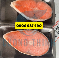 1 Máy bọc màng co tự động 450L - 4020L hàng nhập khẩu
