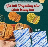 Bảo vệ bánh trung thu nhờ gói hút oxy Thịnh Phong