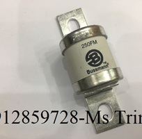 Cầu chì bussmann 250FM