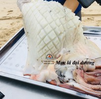Mực lá đại dương