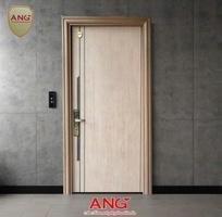 Cửa Thép Căn Hộ ANG 07