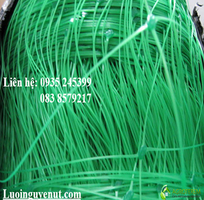 1 Lưới trồng cây dây leo nguyễn út