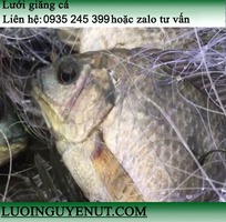 Lưới giăng cá lớn nước sâu