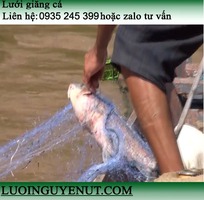 2 Lưới giăng cá lớn nước sâu