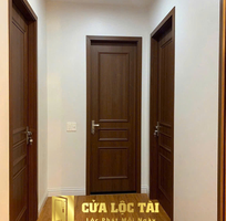 1 Mẫu cửa nhựa composite chạy phào nổi cổ điển nhưng không kém phần sang trọng
