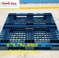 2 Lựa chọn mua pallet nhựa Tây Ninh cho nhu cầu xuất khẩu