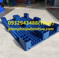 5 Nhà phân phối pallet nhựa tại Gia Lai 5 Nhà phân phối pallet nhựa tại Gia Lai