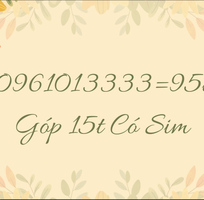 0961013333 95tr