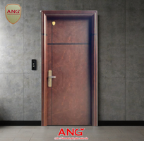 Cửa Thép Căn Hộ ANG 10