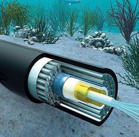 3 Báo giá tư vấn lắp đặt cáp quang doanh nghiệp tại hcm Var:TinhQuan