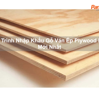 Quy Trình Nhập Khẩu Gỗ Ván Ép Plywood MDF Mới Nhất
