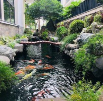 Dịch Vụ Chăm Sóc Sân Vườn Chuyên Nghiệp Dịch Vụ Chăm Sóc Sân Vườn Chuyên Nghiệp