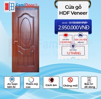 2 Cửa gỗ HDF veneer